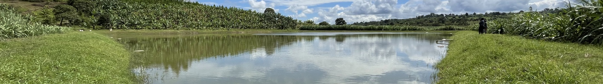 CASA Stories From The Field